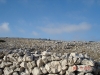 dsc00194