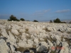 dsc00197